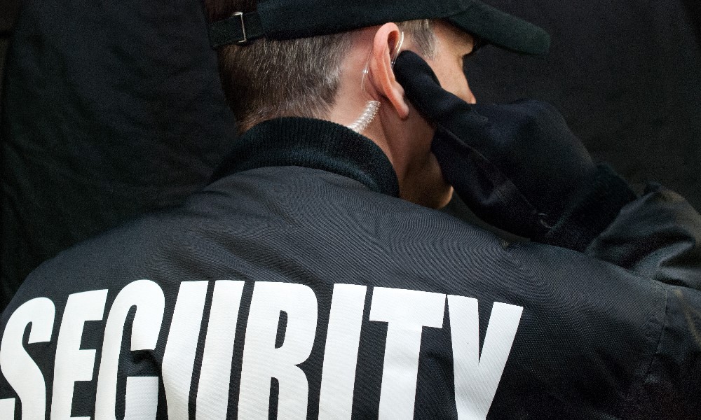 What are the Roles of Security Guards in Bank Security?