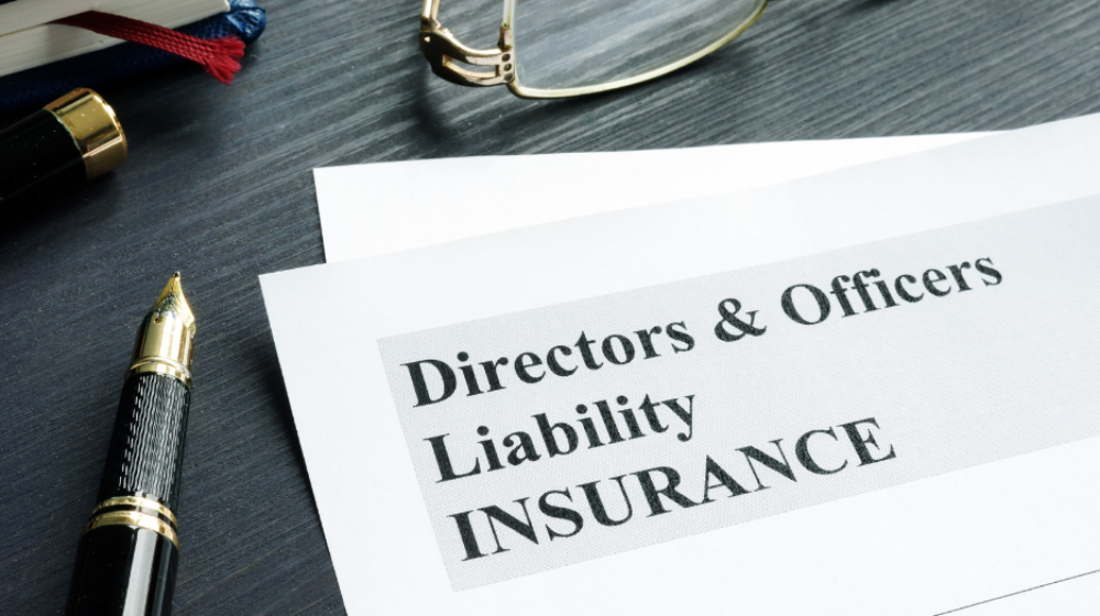 An Overview of Directors and Officers (D&O) Insurance